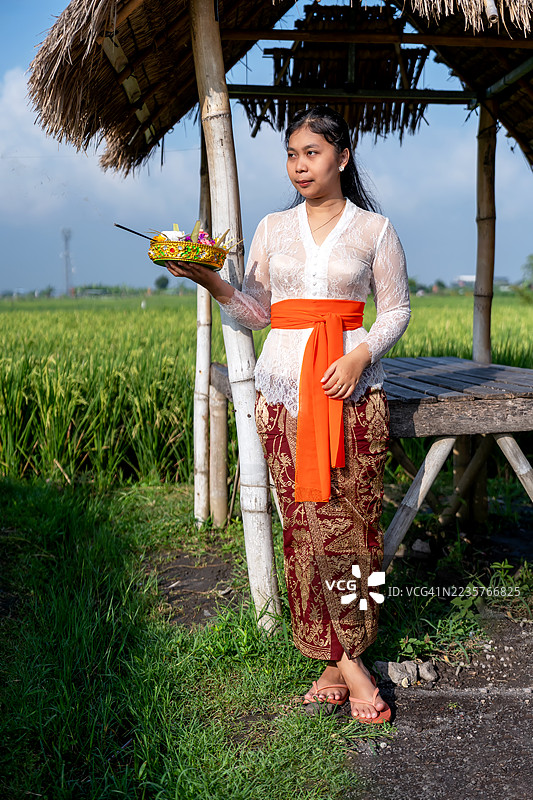 巴厘岛女性在稻田中手持香花篮或宗教供品图片素材