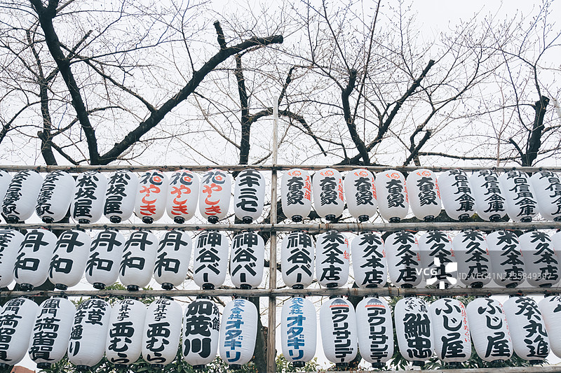 阴天，光秃秃的冬季树枝上悬挂着一排排传统的日本纸灯笼，灯笼上刻有黑色的日文书法，灯笼由竹框支撑。图片素材