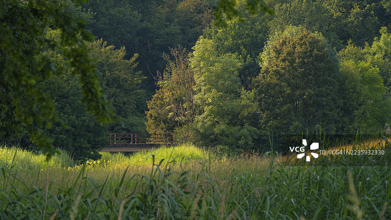 傍晚的光线下，俯瞰一片草地，前方是一座古老的桥，背后是森林，位于德国下萨克森州海德克赖斯区阿尔登。图片素材