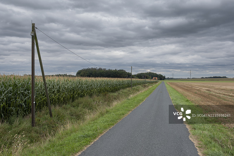 沿着一条道路和电缆,旁边是玉米田和收割后的谷物田,通向一座独立的农场,位于德国下萨克森州迪普霍尔茨区的阿森多夫。图片素材