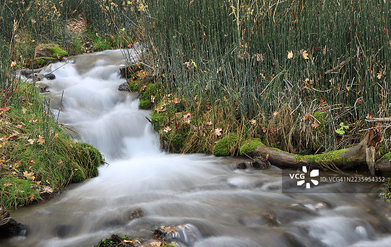 十月的鱼湖国家森林中的小溪图片素材