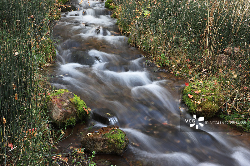 十月的鱼湖国家森林中的小溪图片素材