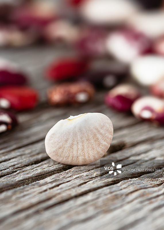 传家宝“赫尔利”利马豆，呈圆形和扁平状，颜色从淡米色到奶油色，带有微弱的自然条纹，背景为风化的木材。图片素材