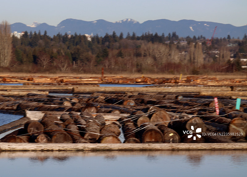 水面漂浮的木材，背景是山脉和森林图片素材