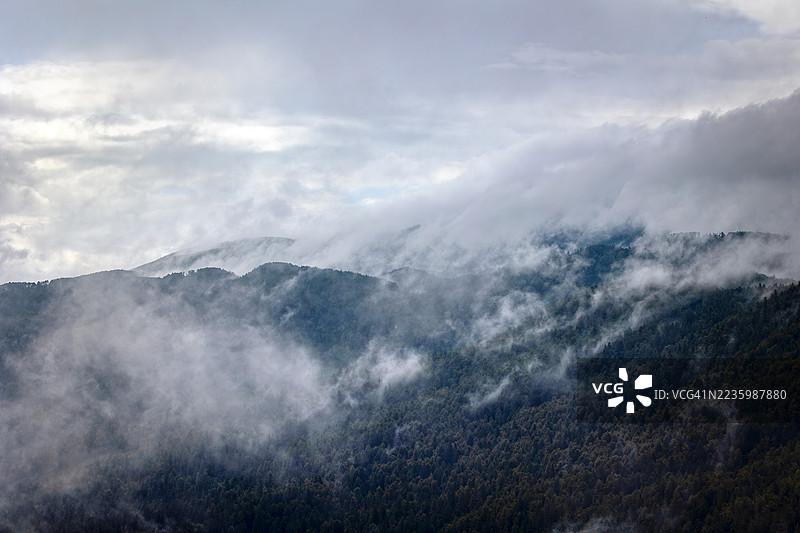 神秘而宁静的自然景观，云雾缭绕的山脉和森林在阴云密布的天空下展现出戏剧性的美，斯洛文尼亚图片素材
