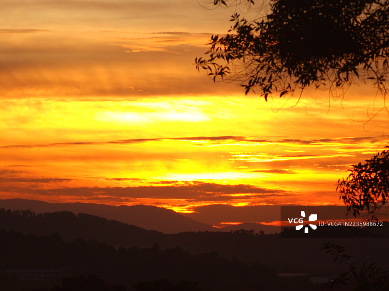 鲜艳的橙色和黄色日落映衬着剪影般的山脉，前景中有树枝。图片素材