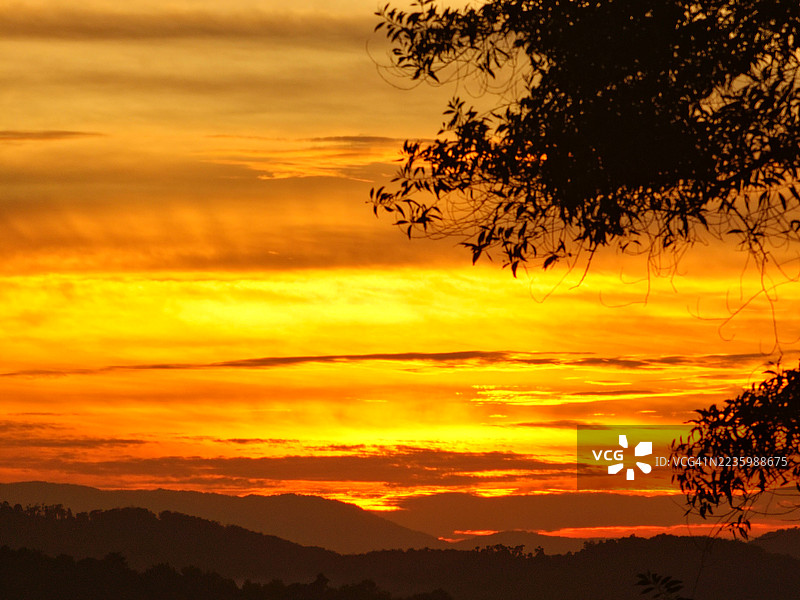 戏剧性的金色日落天空，剪影般的树木和山脉图片素材
