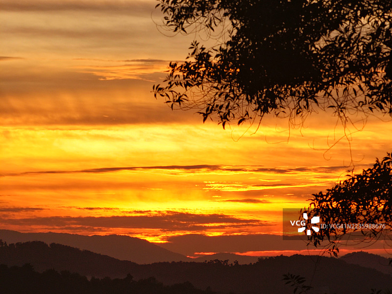 树木和山脉的戏剧性剪影映衬在生动的橙色和黄色日落天空下图片素材