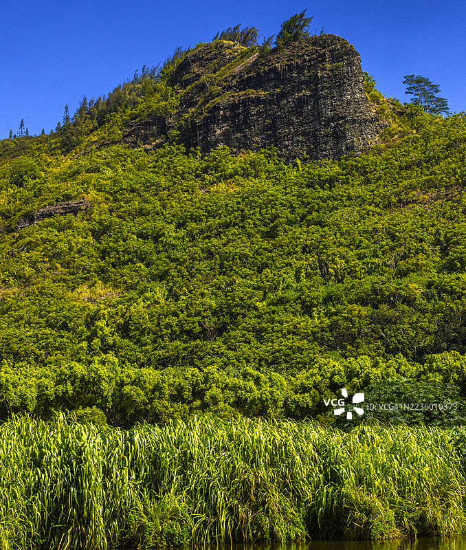 2025年7月10日 威卢阿河州立公园 - 考艾 002图片素材