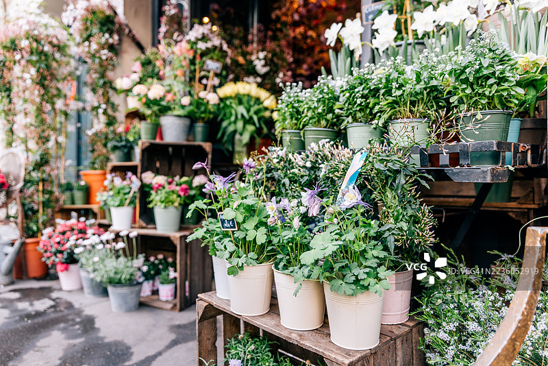 巴黎街头的花店展示，摆放着各种植物和花盆图片素材