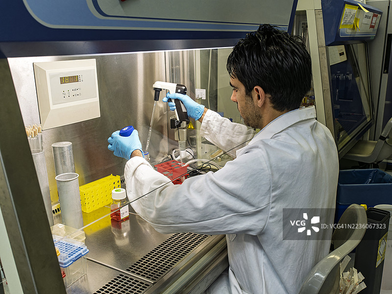 科学家在层流柜中进行与癌症相关的人类细胞培养。图片素材