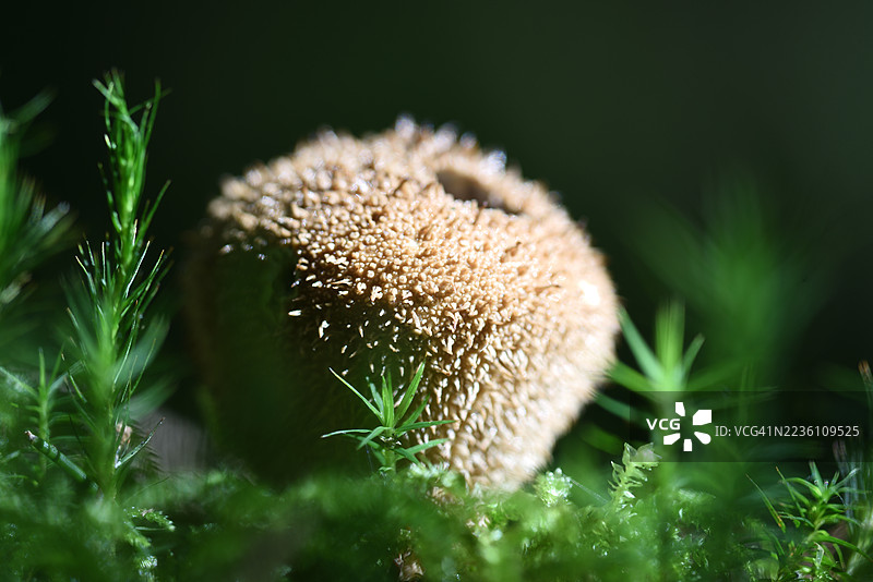 尘埃飞舞图片素材