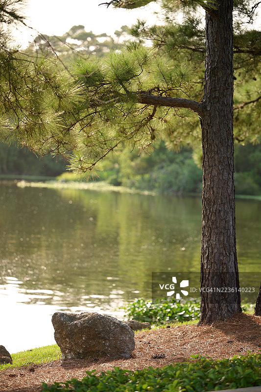 背景幕布图片素材