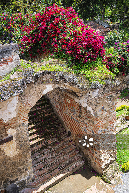 危地马拉安提瓜的旧金山修道院遗址花园图片素材