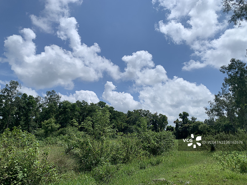 郁郁葱葱的绿色景观，浓密的树木在明亮的蓝天和蓬松的白云下，印度梅迪尼布尔，朗戈马提图片素材