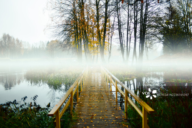 木制人行桥延伸至被秋季树木环绕的雾气弥漫的湖面，营造出宁静而神秘的自然景观，立陶宛，立陶宛图片素材
