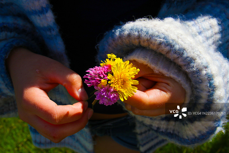 特写镜头下的手握着一束生机勃勃的野花，置身户外图片素材