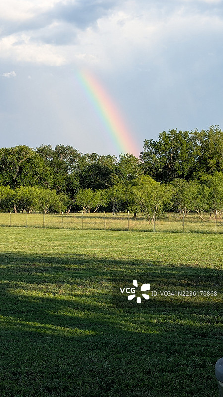 生动的彩虹拱桥横跨郁郁葱葱的绿地，树木在多云的天空下，展现了雨后大自然的美丽。图片素材