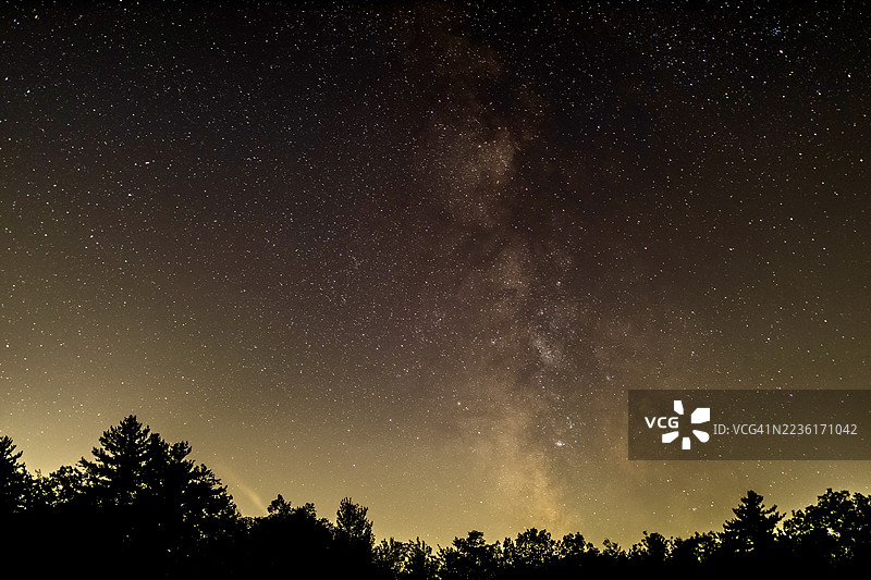 低角度视图下的树木剪影与星空，银河清晰可见图片素材