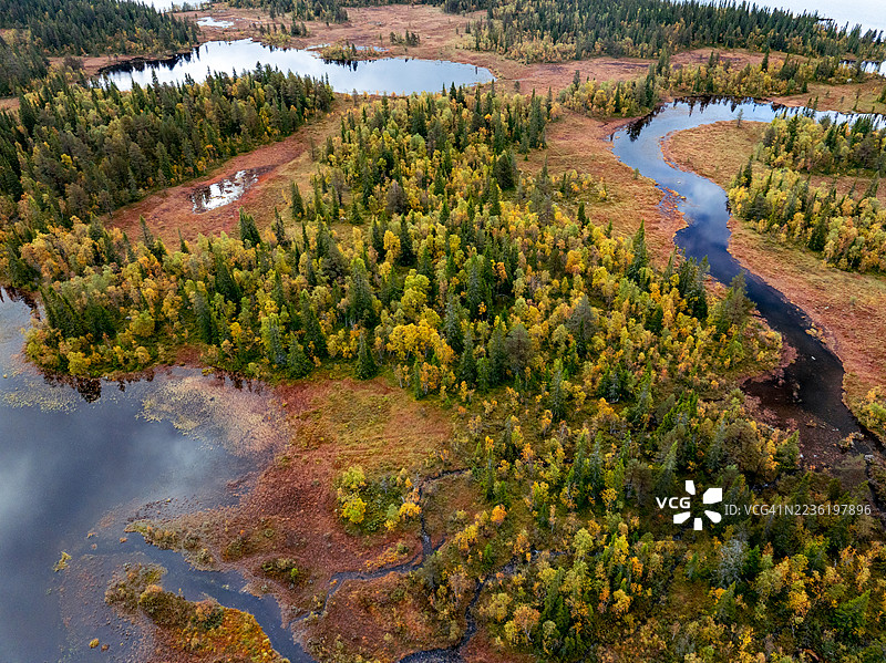 秋天从高处俯瞰的树木、沼泽和河流图片素材