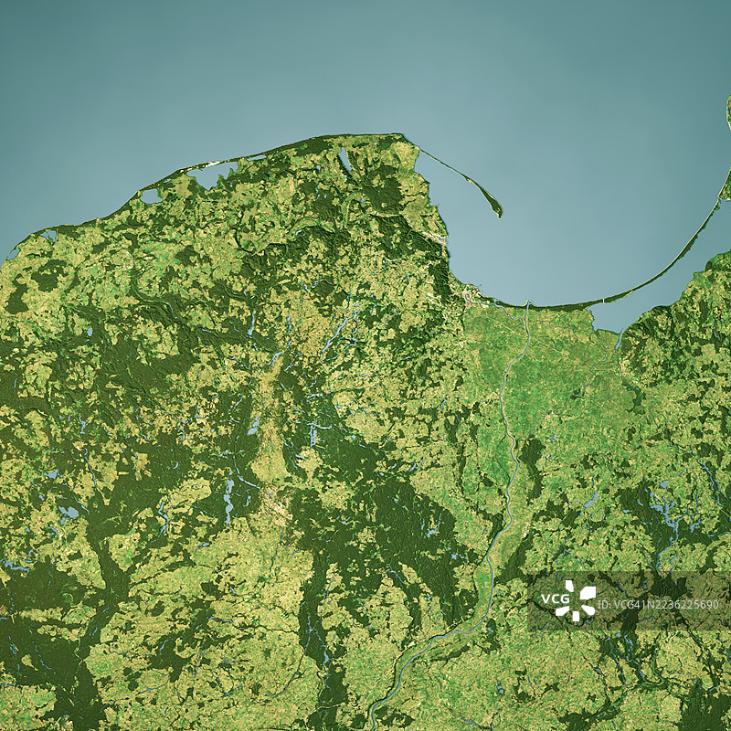 波美拉尼亚犬的三维地形图渲染彩色图像图片素材