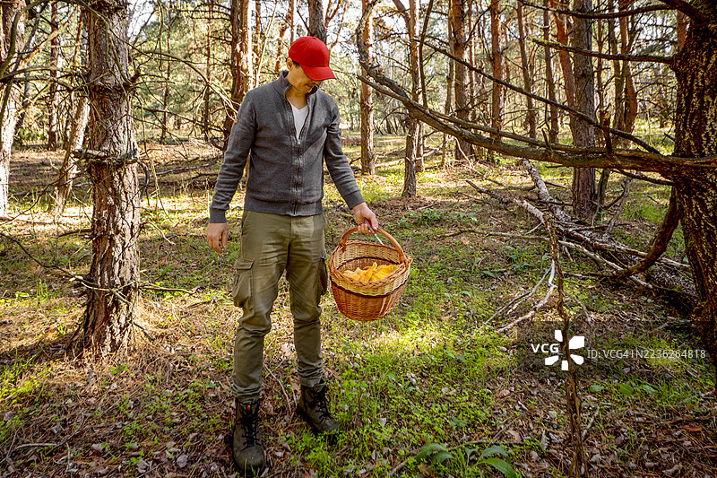 黄褐色鸡腿菇图片素材