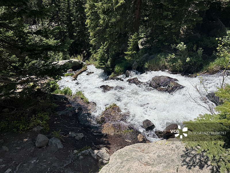 阳光明媚的日子里，奔腾的水流在生机勃勃的森林中冲刷着岩石。图片素材