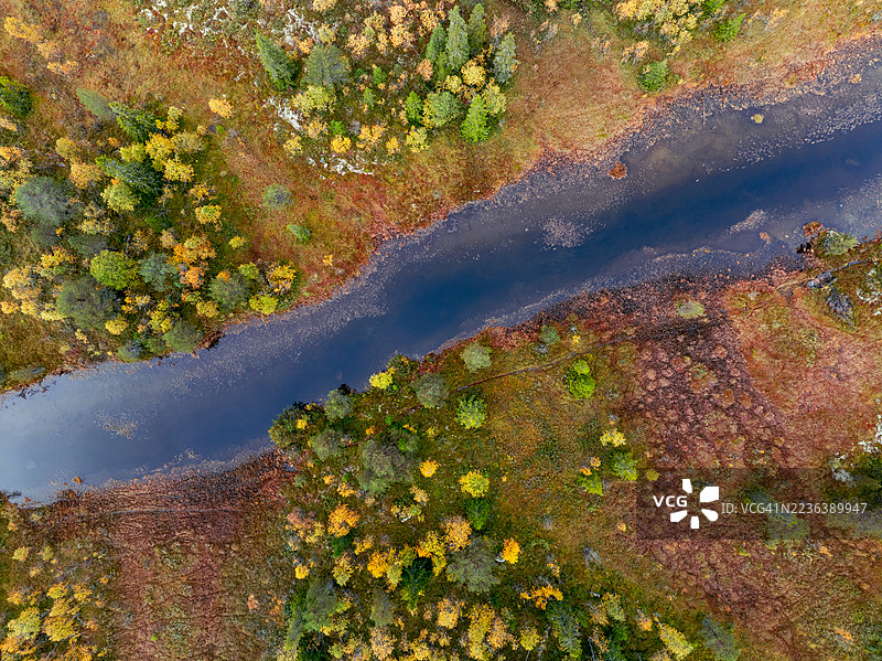 秋天从高处俯瞰的树木、沼泽和河流图片素材
