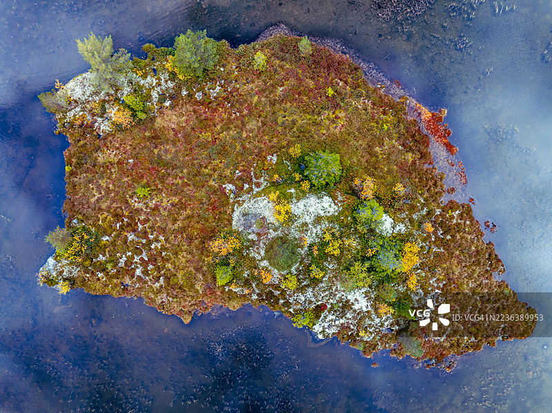 从上方看到的小岛和秋天的树木图片素材