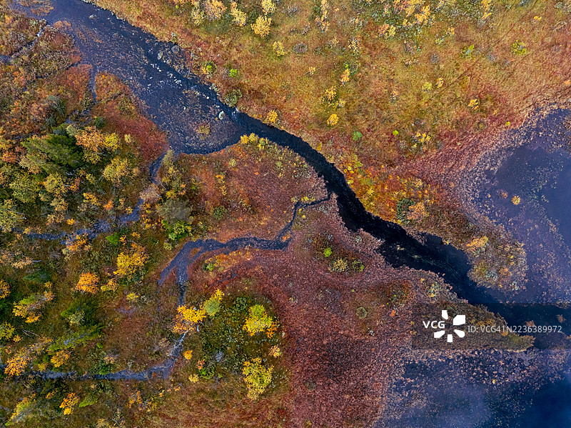 秋天从高处俯瞰的树木、沼泽和河流图片素材