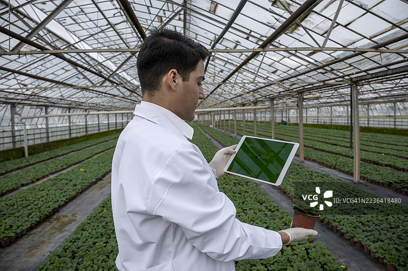 年轻科学家在温室中使用数字平板进行植物研究图片素材
