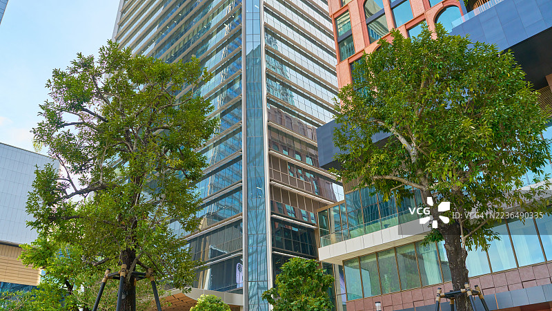 现代城市建筑与树木反映城市环境图片素材
