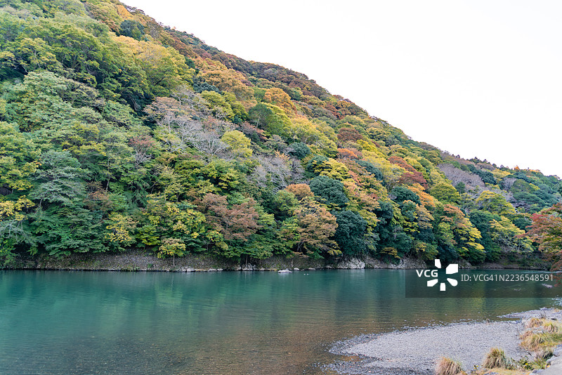 在日本京都附近的岚山大堰河畔欣赏秋天的色彩图片素材