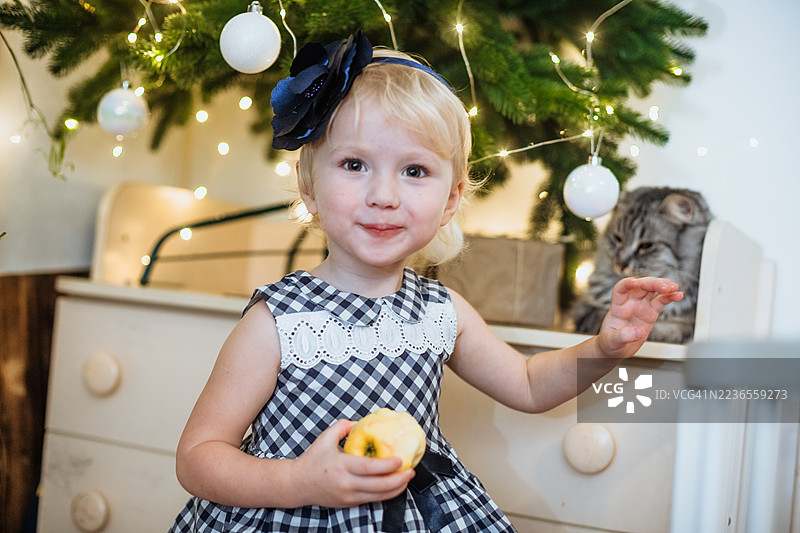 可爱的女孩在圣诞树旁与猫咪一起庆祝图片素材