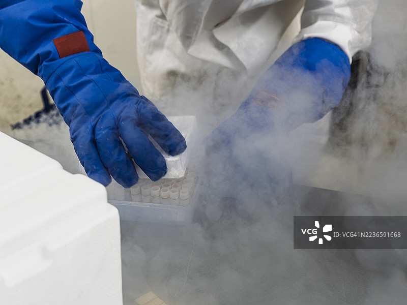 一位科学家的手戴着特殊手套，正在处理一个装有储存在液氮中的人类细胞系的箱子。图片素材