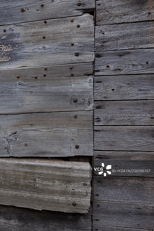 布满锈钉、质感粗糙的老旧风化木墙图片素材