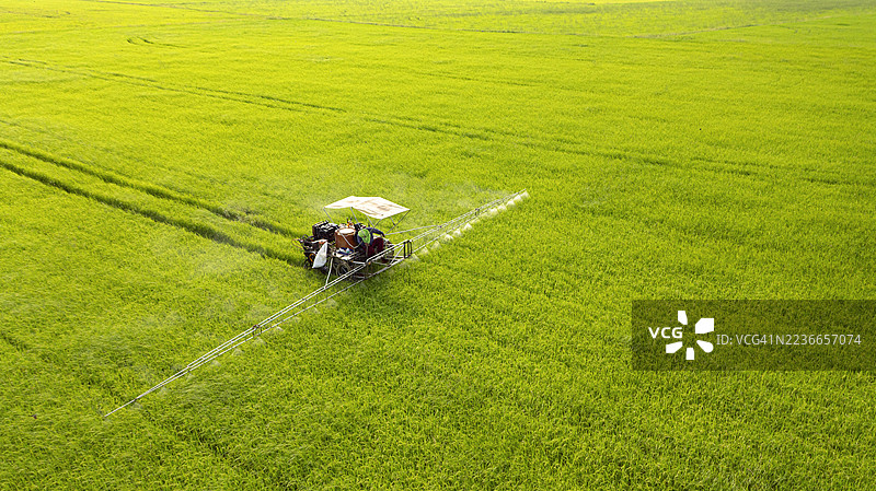 农田上农民操控的农药喷洒机的鸟瞰图。图片素材