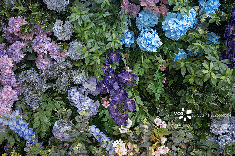 一束五彩缤纷的花朵的全景拍摄图片素材