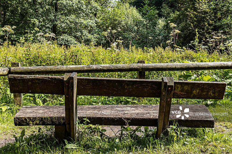 木制长椅位于木栅栏前，背景是自然保护区的森林图片素材