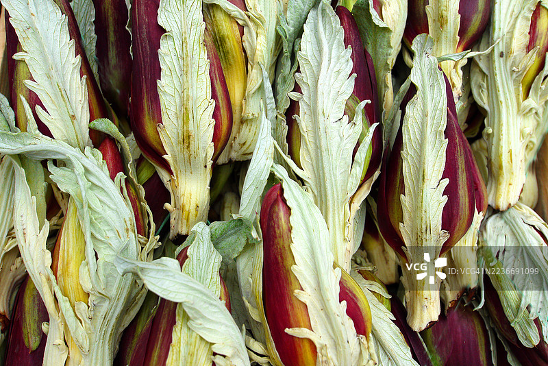 一排待售的朝鲜蓟特写镜头图片素材