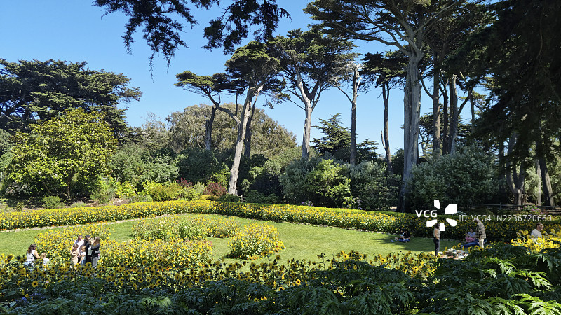 旧金山金门公园的威廉明娜女王花园里的游客图片素材