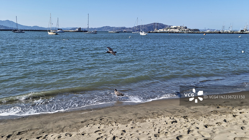 从旧金山的海滨大道俯瞰阿尔卡特拉斯岛图片素材