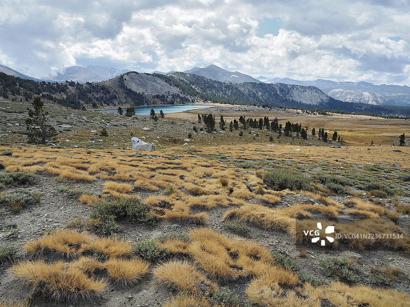 优胜美地国家公园的下盖勒湖景观图片素材