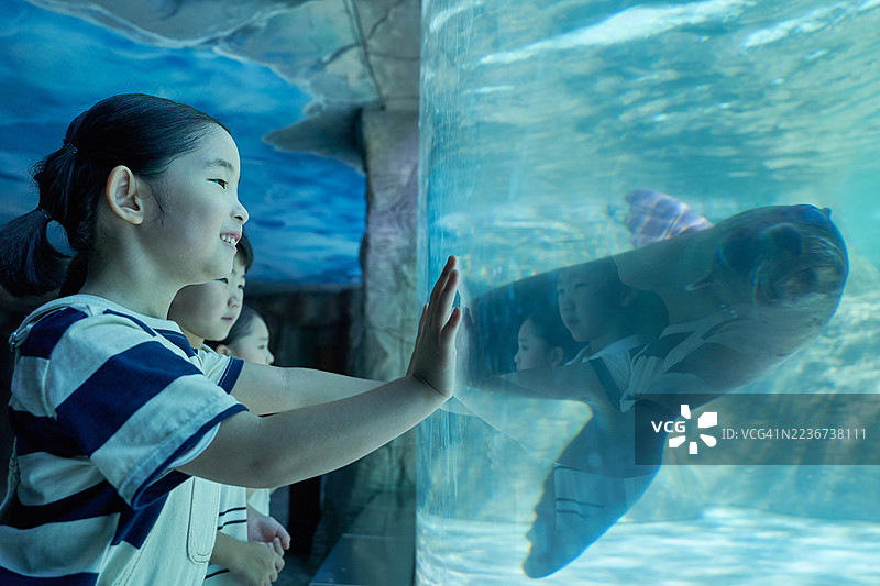 孩子们，校外教学，动物园，小学生图片素材