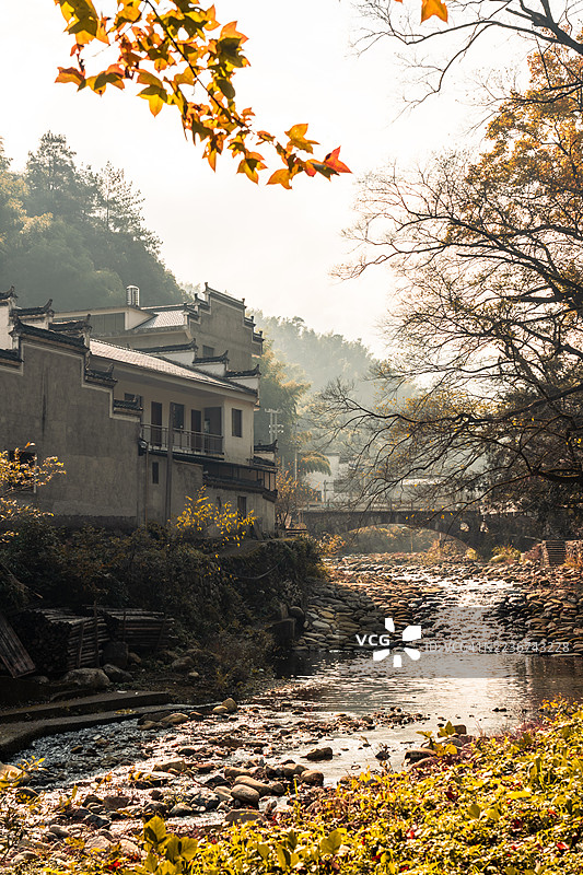 宁静的村庄场景，溪流与秋季树叶图片素材