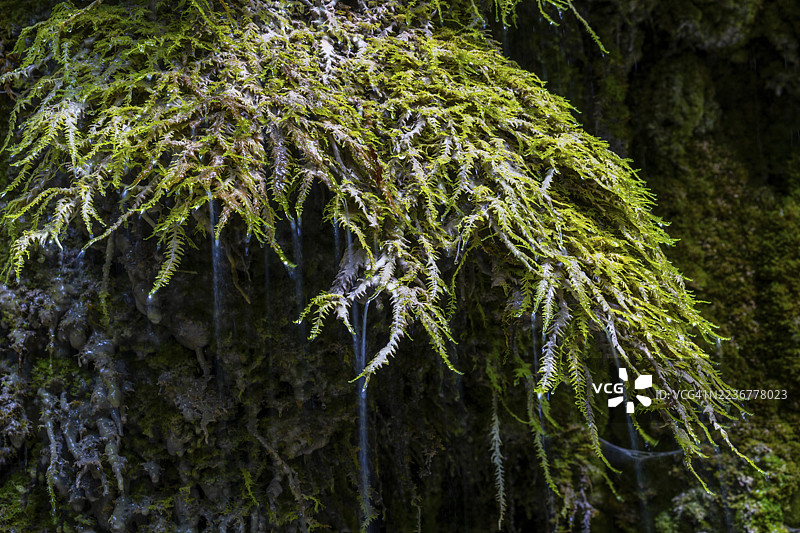 莫森的石灰岩 crusts,欣安格瀑布,峡谷,岩石,石灰岩,欣安,费申,阿尔高阿尔卑斯,巴伐利亚,德国图片素材