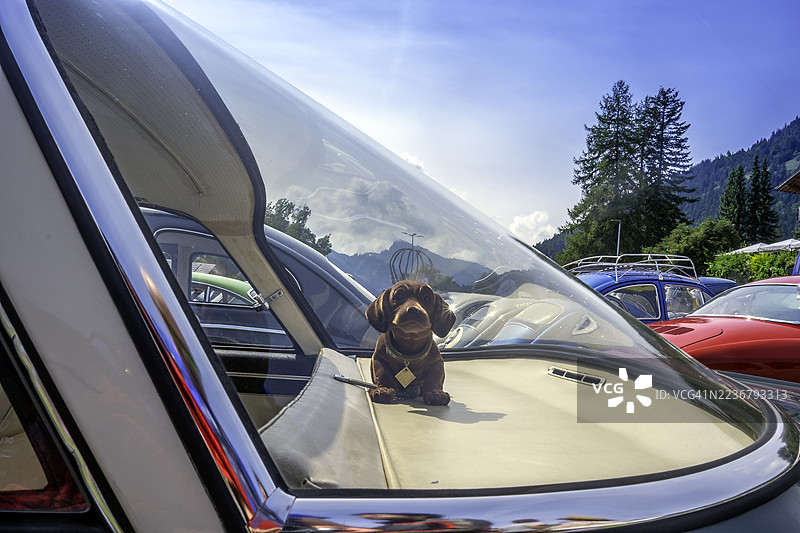 汽车仪表盘摇摆摆件狗头图片素材