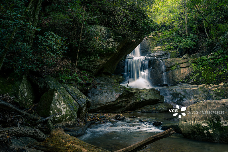 郁郁葱葱的绿色森林中，雄伟的瀑布倾泻而下，周围有长满苔藓的岩石和潺潺溪流，美国，萨卢达图片素材