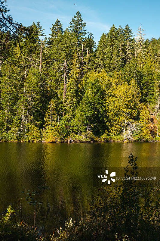 温哥华岛的自然风光图片素材