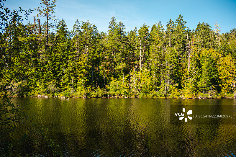 温哥华岛的自然风光图片素材